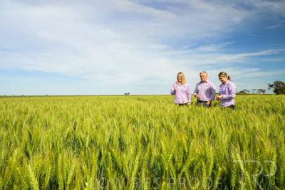 October 2022 / KANGAROO-FLAT-0658