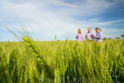 October 2022 / KANGAROO-FLAT-0661