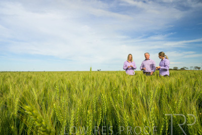 October 2022 / KANGAROO-FLAT-0662