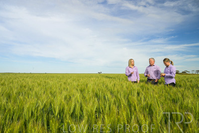 October 2022 / KANGAROO-FLAT-0664