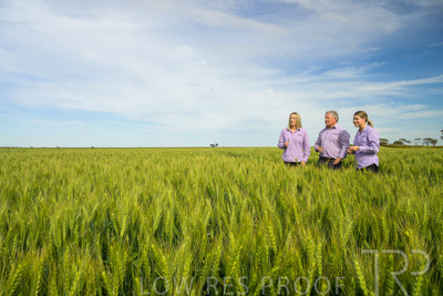 October 2022 / KANGAROO-FLAT-0667