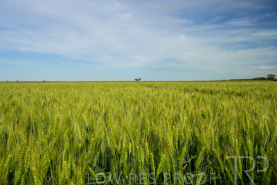 October 2022 / KANGAROO-FLAT-0674