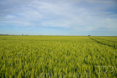 October 2022 / KANGAROO-FLAT-0677