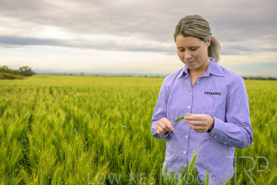 October 2022 / KANGAROO-FLAT-0687