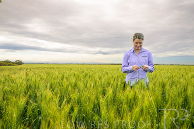 October 2022 / KANGAROO-FLAT-0714