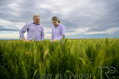 October 2022 / KANGAROO-FLAT-0725