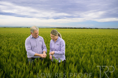 October 2022 / KANGAROO-FLAT-0726