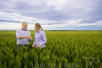 October 2022 / KANGAROO-FLAT-0730