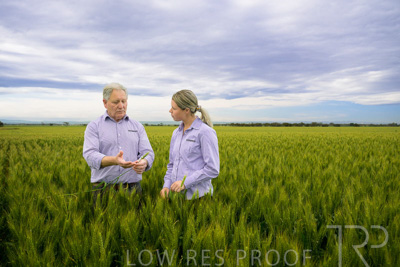 October 2022 / KANGAROO-FLAT-0731