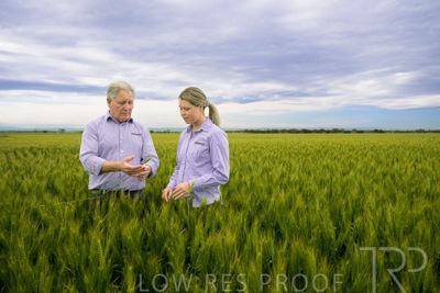 October 2022 / KANGAROO-FLAT-0734