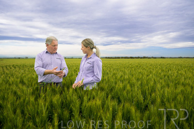 October 2022 / KANGAROO-FLAT-0735