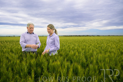 October 2022 / KANGAROO-FLAT-0737