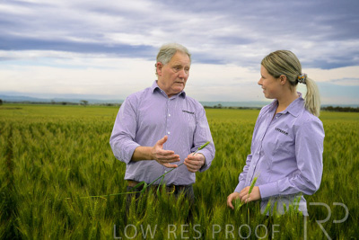 October 2022 / KANGAROO-FLAT-0739