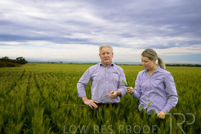 October 2022 / KANGAROO-FLAT-0741