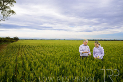 October 2022 / KANGAROO-FLAT-0749