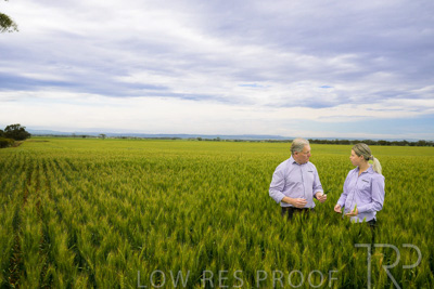 October 2022 / KANGAROO-FLAT-0750