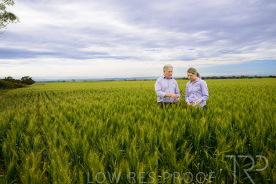 October 2022 / KANGAROO-FLAT-0752