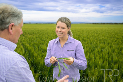 October 2022 / KANGAROO-FLAT-0770