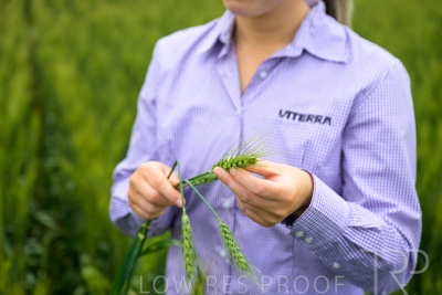 October 2022 / KANGAROO-FLAT-0778