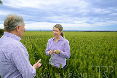 October 2022 / KANGAROO-FLAT-0785