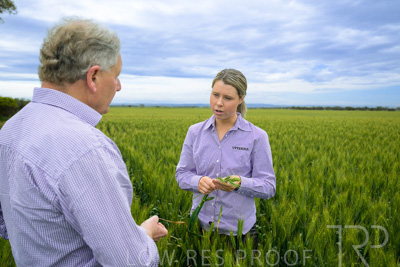 October 2022 / KANGAROO-FLAT-0786