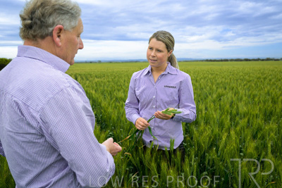 October 2022 / KANGAROO-FLAT-0787