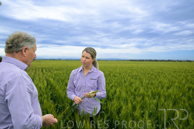 October 2022 / KANGAROO-FLAT-0790