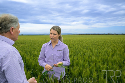 October 2022 / KANGAROO-FLAT-0792