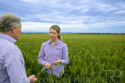 October 2022 / KANGAROO-FLAT-0793