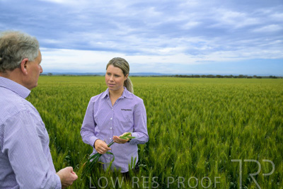 October 2022 / KANGAROO-FLAT-0794