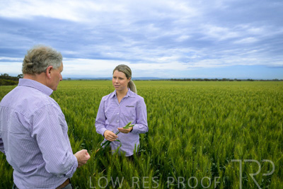 October 2022 / KANGAROO-FLAT-0795