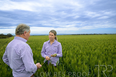 October 2022 / KANGAROO-FLAT-0796