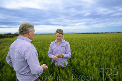 October 2022 / KANGAROO-FLAT-0798