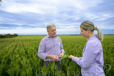 October 2022 / KANGAROO-FLAT-0800