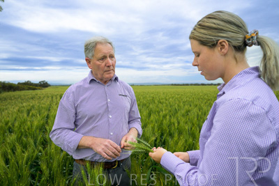 October 2022 / KANGAROO-FLAT-0802