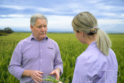 October 2022 / KANGAROO-FLAT-0807