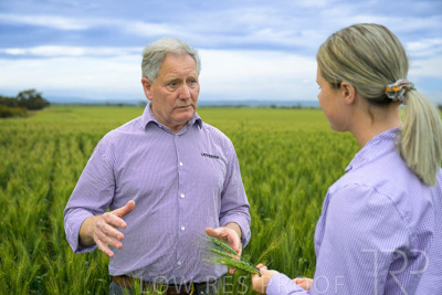 October 2022 / KANGAROO-FLAT-0811