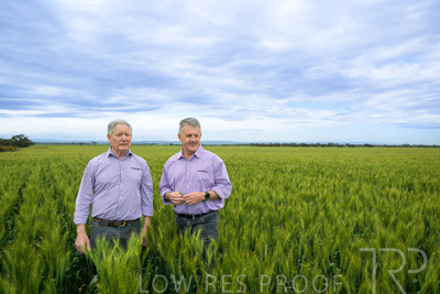 October 2022 / KANGAROO-FLAT-0813