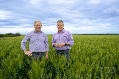 October 2022 / KANGAROO-FLAT-0817