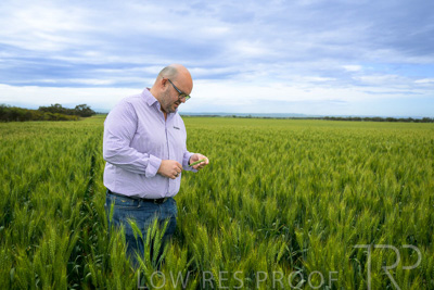 October 2022 / KANGAROO-FLAT-0828