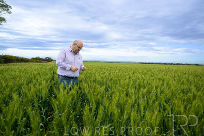 October 2022 / KANGAROO-FLAT-0835