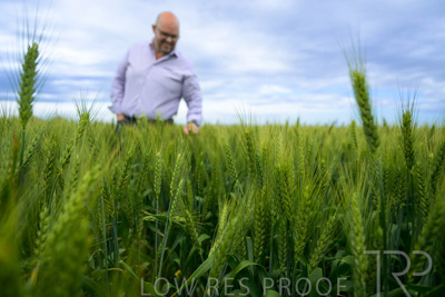 October 2022 / KANGAROO-FLAT-0861