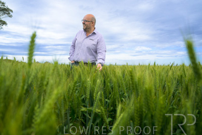 October 2022 / KANGAROO-FLAT-0864