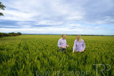 October 2022 / KANGAROO-FLAT-0866