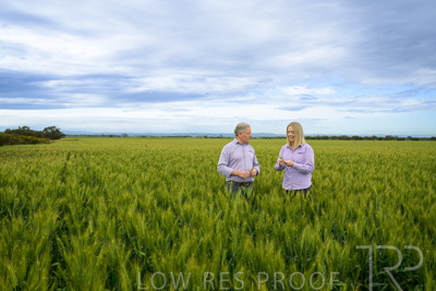 October 2022 / KANGAROO-FLAT-0869