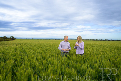 October 2022 / KANGAROO-FLAT-0871