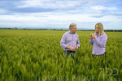 October 2022 / KANGAROO-FLAT-0878