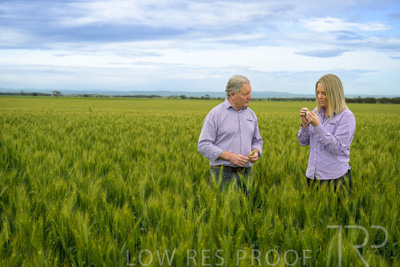 October 2022 / KANGAROO-FLAT-0879