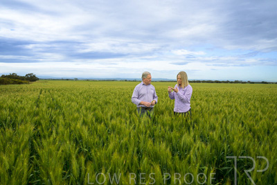 October 2022 / KANGAROO-FLAT-0881