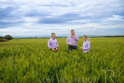 October 2022 / KANGAROO-FLAT-0903